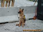 DSCF0105.jpg