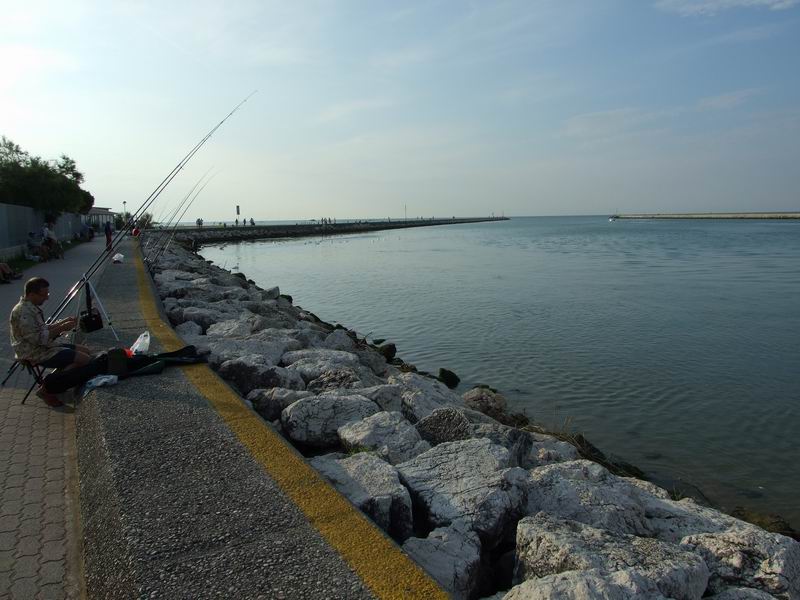 DSCF0027.jpg