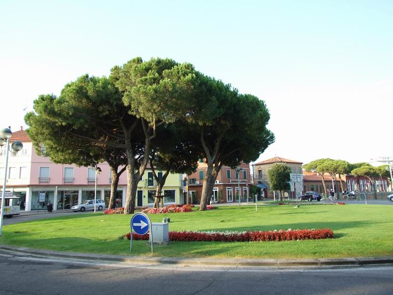 DSCF0043.jpg