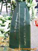 DSCF0157.jpg