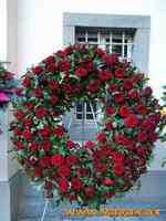 DSCF0164.jpg